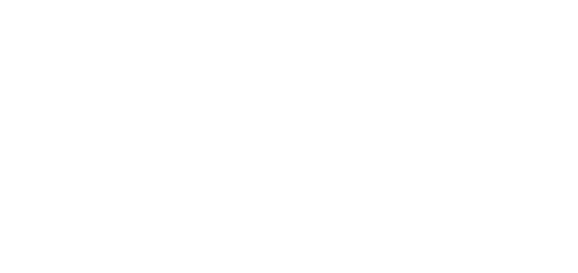 JGSB Executive Service